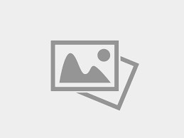 UNIVERSAL TERMS OF SERVICE